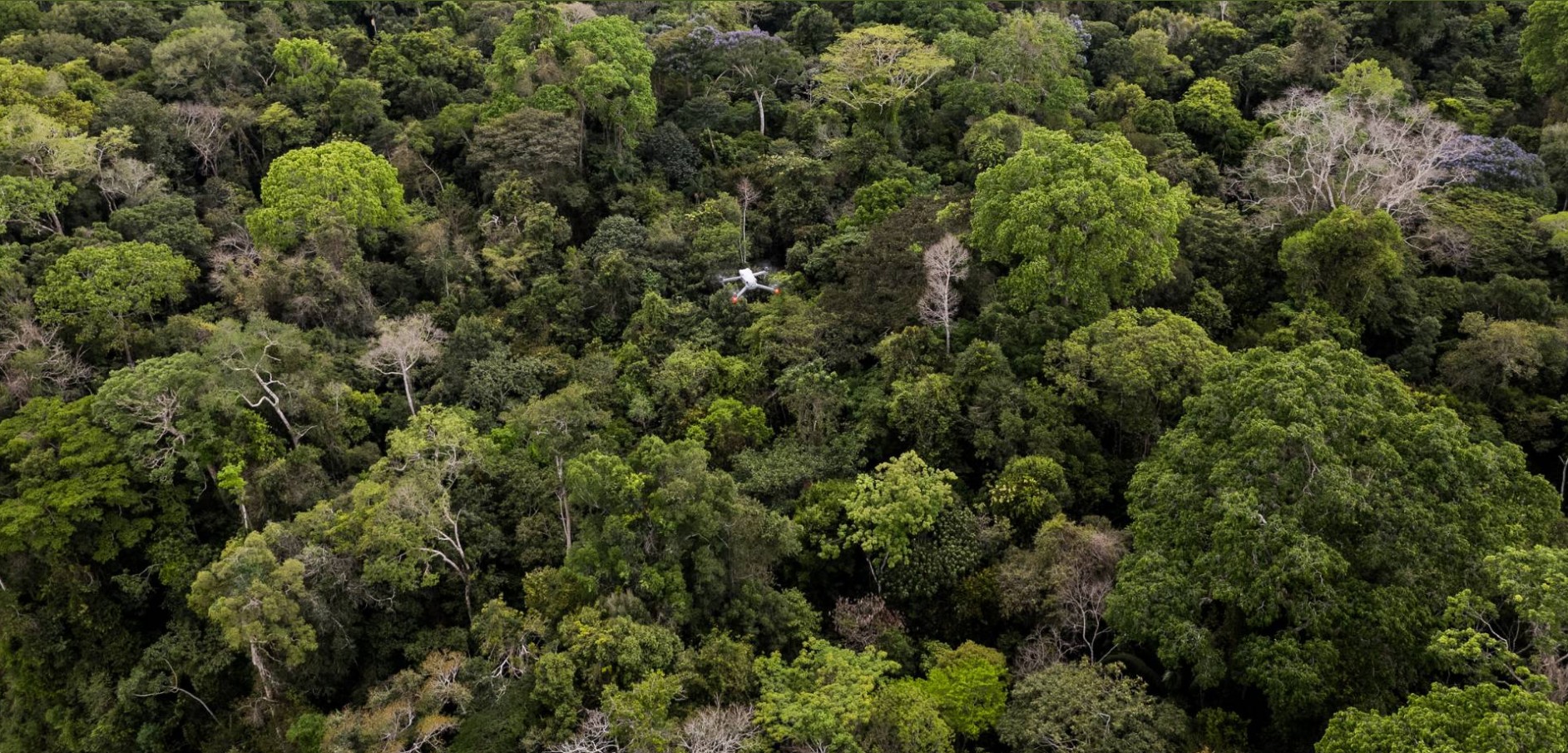 Wired Amazon's Aerobotany project