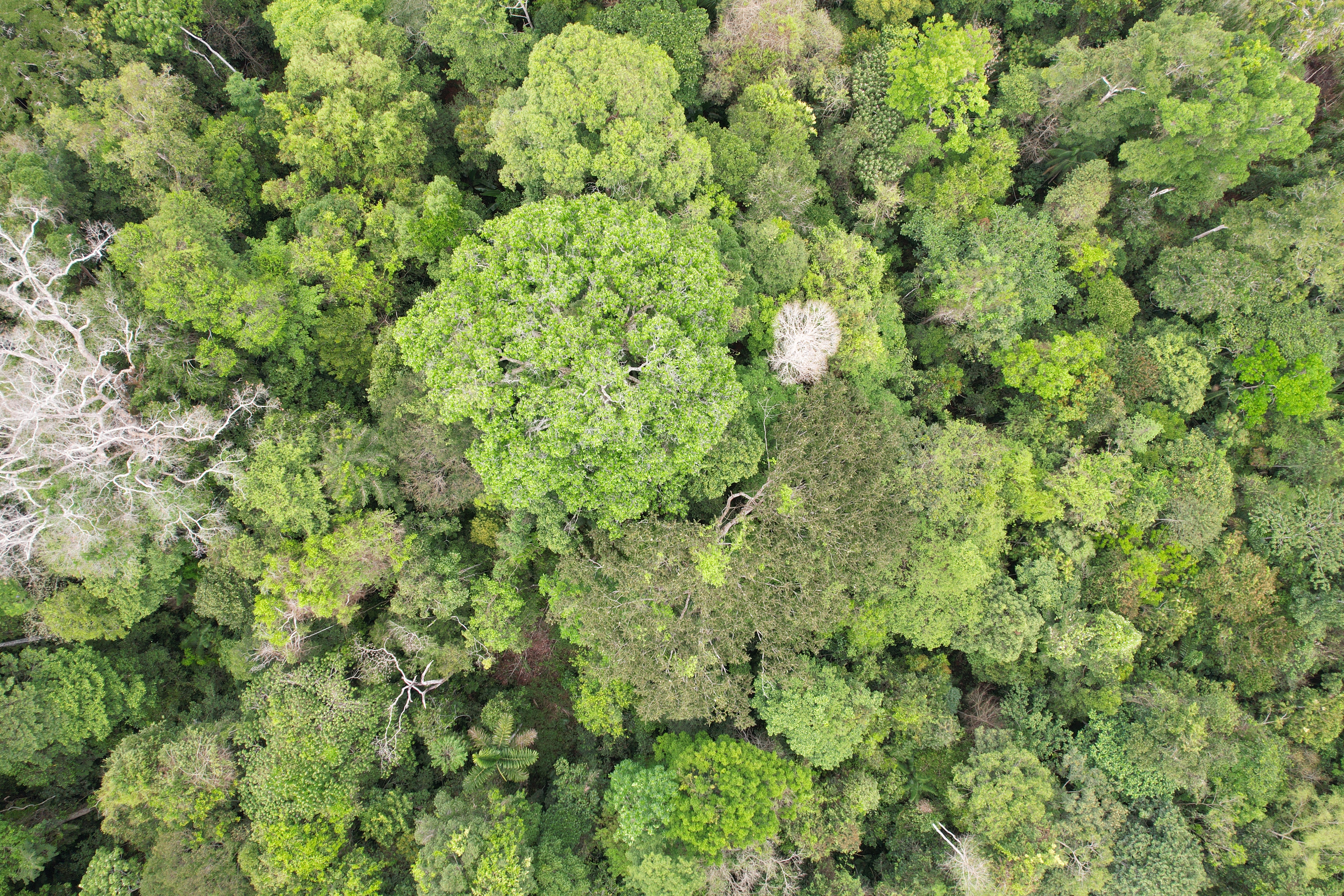 Drone data acquisition example